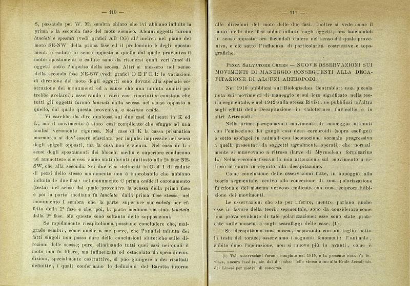 DE_FIORE_1921_009.jpg