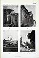 MERCALLI_1909_029