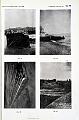 MERCALLI_1909_031