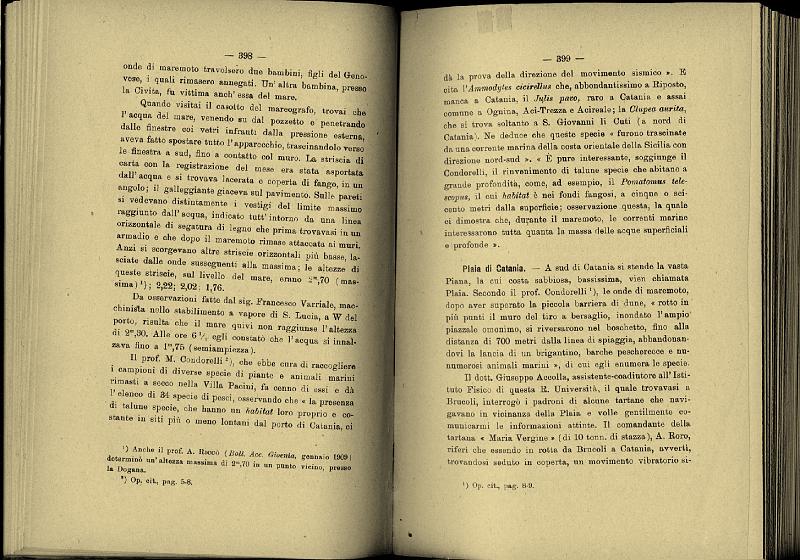 PLATANIA_1909_016.jpg