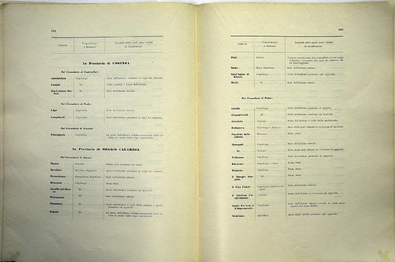 TESTO_UNICO_DELLE_LEGGI_1913_126.JPG